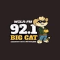 WDLA 92.1 Big Cat - WDLA-FM logo