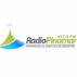 Radio Pinamar logo