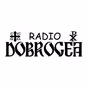 Radio Dobrogea 99.7 FM logo