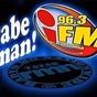 iFM 96.3 - DXWR logo