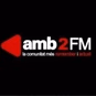 Amb2FM logo
