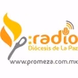 Promeza Radio logo