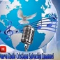 Nueva Radio Cristiana Salvación Emanuel logo