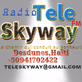 Radio Tele Skyway logo