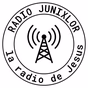 Radio Junixlor logo