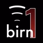 The BIRN - BIRN1 logo