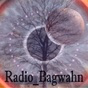 radio_bagwahn logo