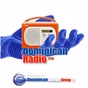Dominican Radio logo