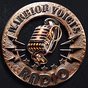 Warrior Voices Radio logo