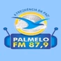 Rádio Palmelo 87.9 logo