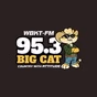 95.3 Big Cat - WBKT logo