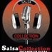 Salsa Collection WG logo