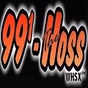 The Hoss 99.1 - WHSX logo