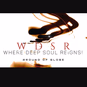 Deep Soul Reigns - WDSR-DB logo