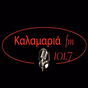 Kalamaria FM 101.7 logo