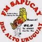Sapucay FM 91.9 logo