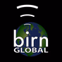 The BIRN - BIRN Global logo
