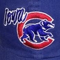 Iowa Cubs Baseball Network logo