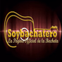 Soybachatero logo