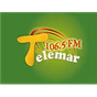 Telemar logo