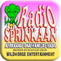 Radio Sprinkaan logo