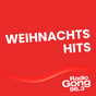 Radio Gong 96.3 - Weihnachts Hits logo