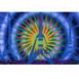 TyeDyeBlues logo