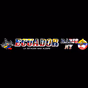 Ecuador Radio NY logo