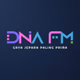 DNA FM - LOVES Logo