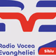 Radio Vocea Evanghelei Sibiu Logo