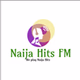 Naija Hits FM Logo