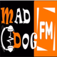 Bolly-DOG Logo