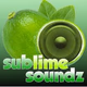 Sublime Soundz Logo