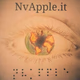 NvRadio Logo
