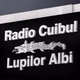Radio Cuibul Lupilor Albi Logo