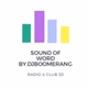 djboomerang Logo