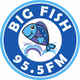 ZFKO Big Fish 95.5 Logo