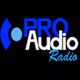 Pro Audio Radio - Latin Top 40 logo
