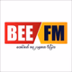 Bee FM Logo