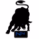 Nguni Nation FM Logo