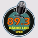 Rádio Led Web Logo
