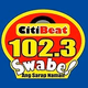 CitiBeat 102.3 - DWKV Logo
