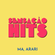 Playradios - Sensação Hits Logo