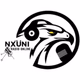 Nxüni Radio Online Logo