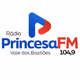 Rádio Princesa Logo