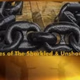 Voices of The Shackled and Unshackled Logo