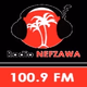 Radio Nefzawa Logo
