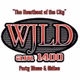 104.1 FM WJLD - W231DE Logo