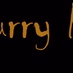 Curry Radio - Non Stop Hindi Logo