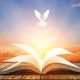 Holy Spirit Logo